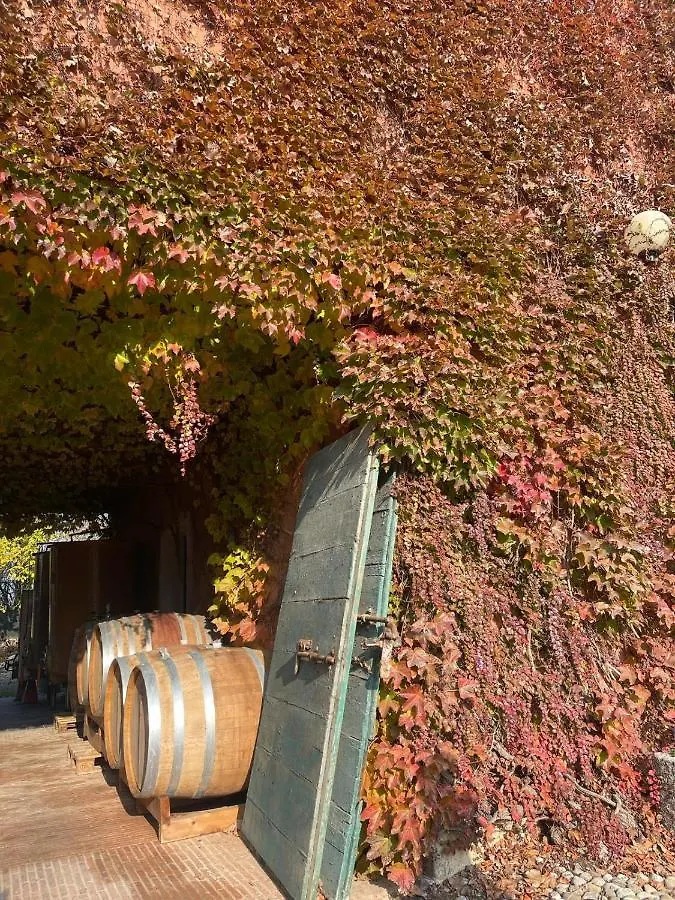 Κατάλυμα σε φάρμα Tenuta Pizzone Wine Resort Rivanazzano Terme